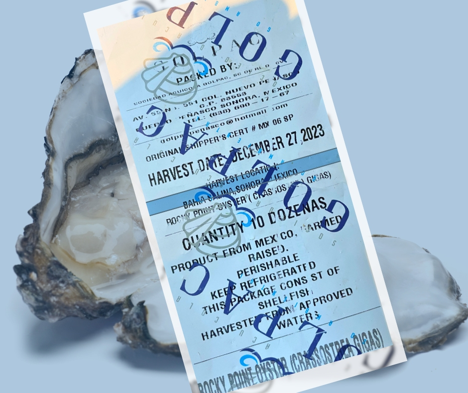 Norovirus Outbreak Raw Oysters Linked To 41 Cases In San Diego County San Diego, CA Patch