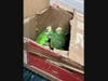 Officers found a total of 21 parrots and a keel-billed toucan hidden in boxes and cages in the cargo area of a vehicle at the Tecate Port of Entry.