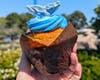 SeaWorld San Diego is celebrating all weekend long with educational presentations, up-close experiences and special treats.