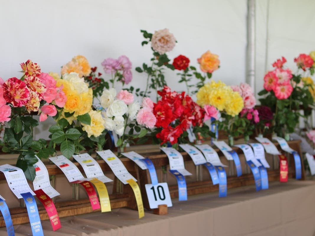 The 102nd annual show is scheduled Saturday and Sunday at Spreckels Park​. 