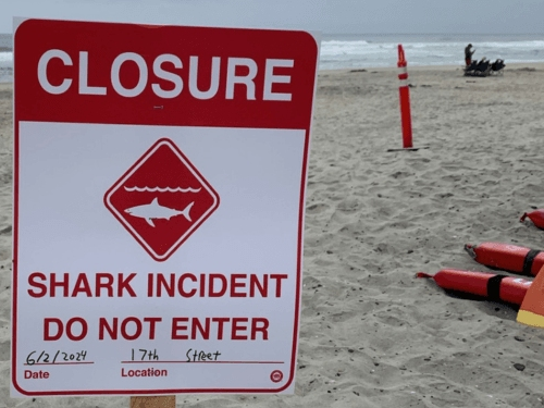 Lifeguards temporarily closed beaches for swimming and surfing from Sixth Street to North Beach.