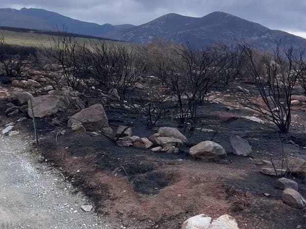 Crews Fully Contain Border 2 Fire In San Diego County | San Diego, CA Patch