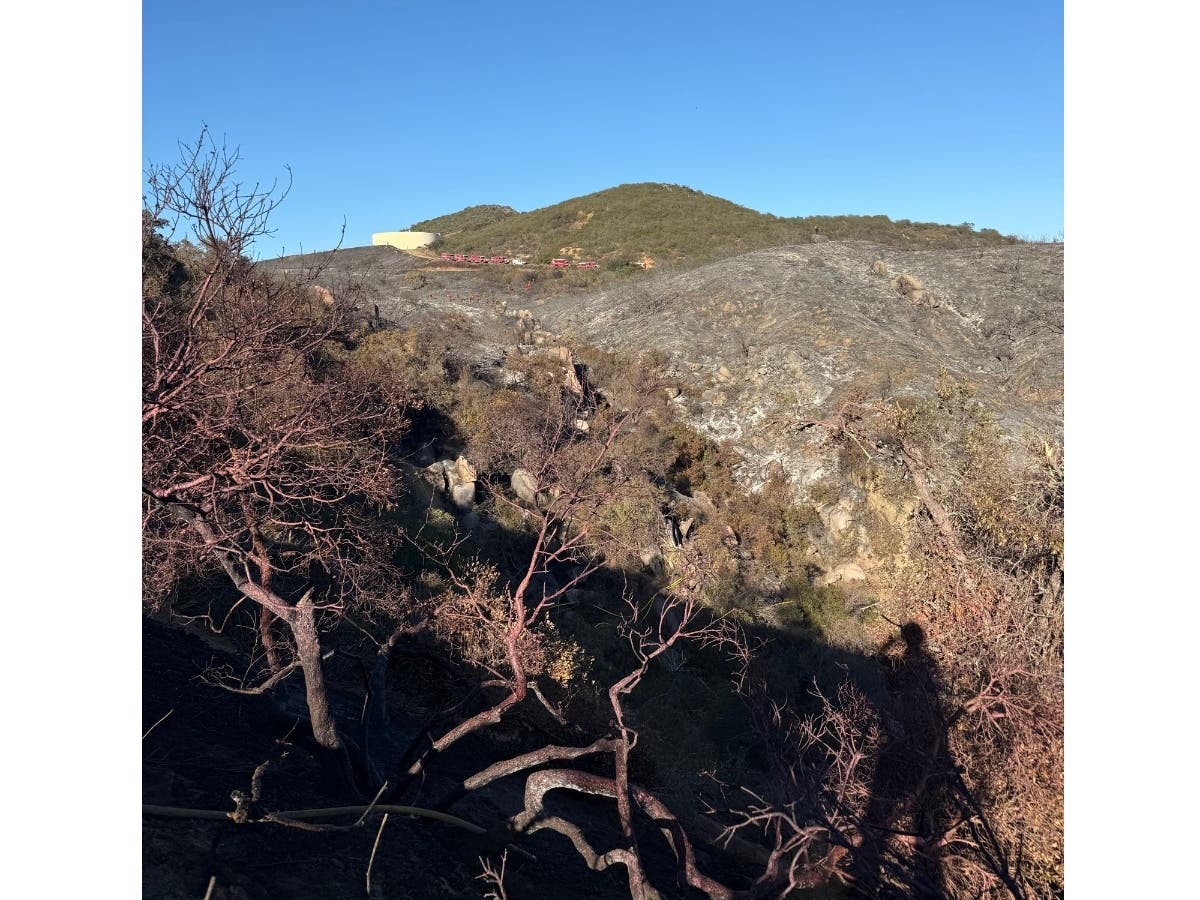 Sandia Fire 90% Contained In San Diego's North County | Oceanside, CA Patch