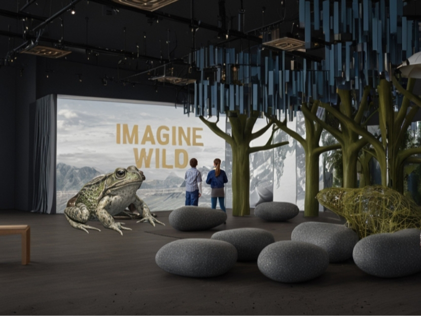 The new installation will feature some of Birch Aquarium's own mountain yellow-legged frogs.