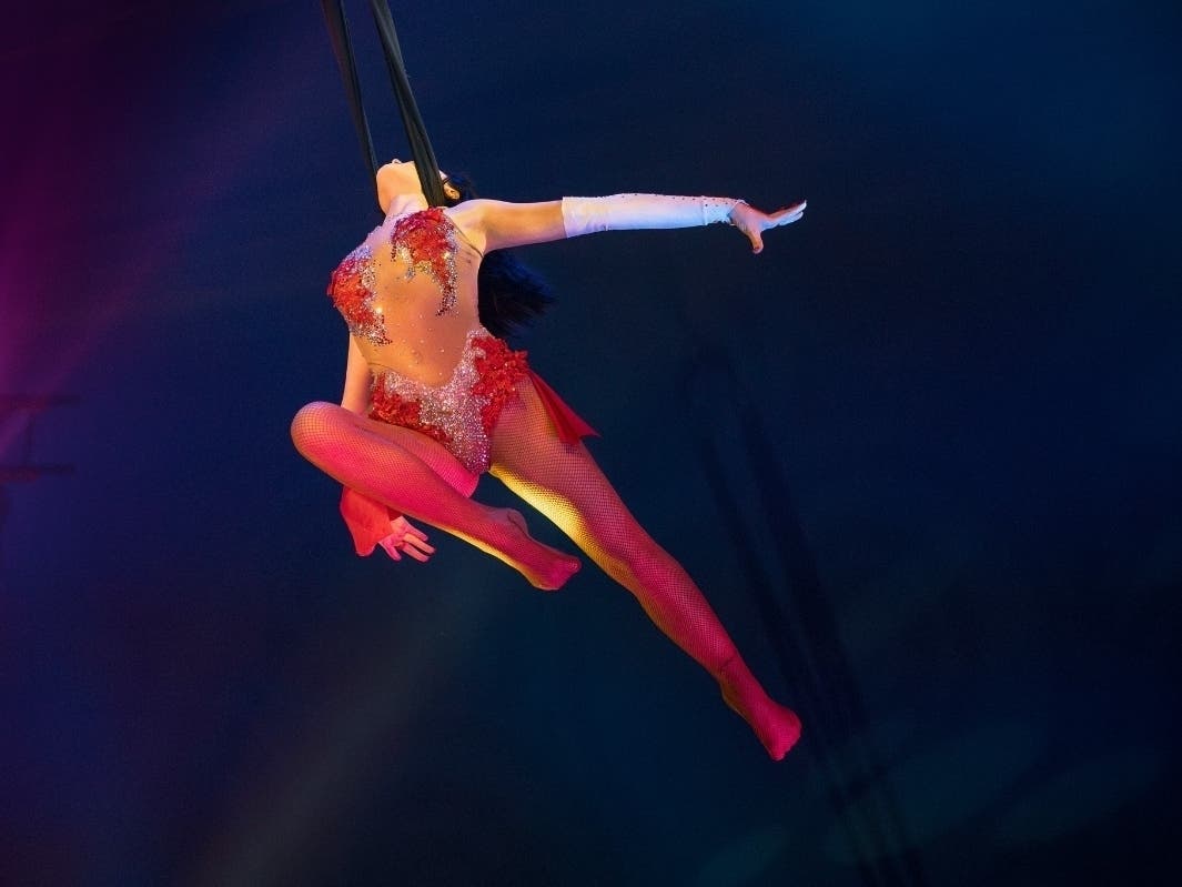 Circus Vargas features world-renowned artists, aerialists, acrobats, comedians, daredevils and more. 