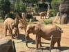 Elephant Valley is the largest project in the 109-year history of San Diego Zoo Wildlife Alliance.