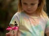 The seasonal exhibit will be open from March 21 through April 12 at San Diego Zoo Safari Park in Escondido. 