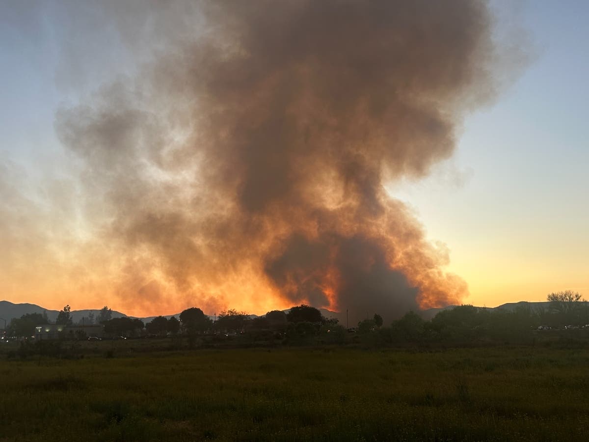 Crews Halt Brush Fire In Santee | Santee, CA Patch