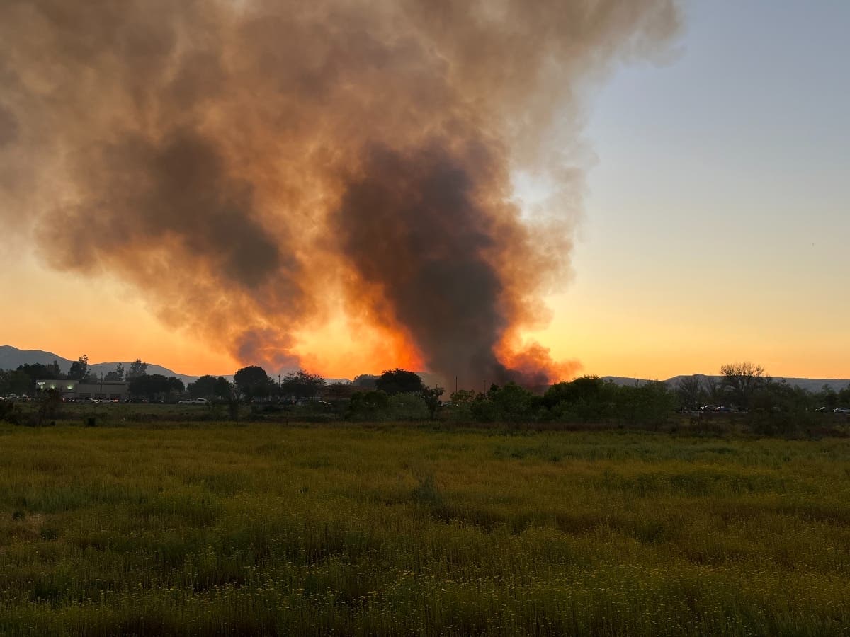 Crews Halt Brush Fire In Santee | Santee, CA Patch