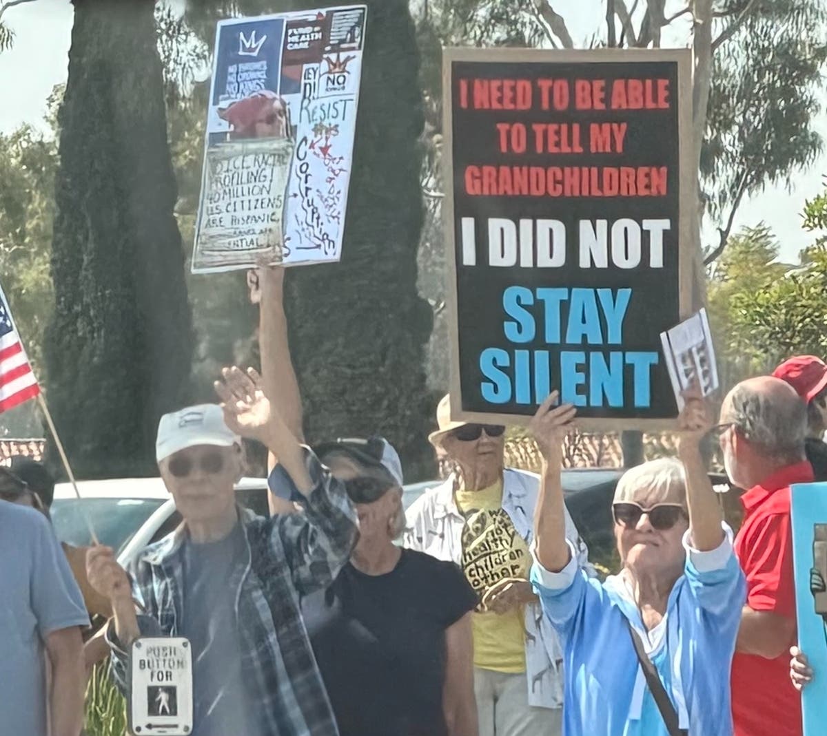 Protestors at a "No Kings" demonstration in Orange County.