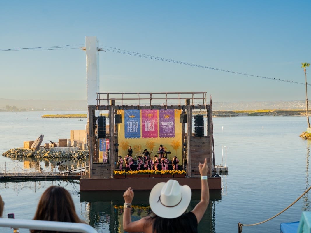 San Diego Weekend Guide: Flower Fields; Spring Market; Street Festival; Dragon Boat Festival; Viva La Música