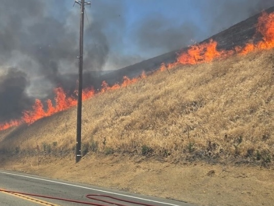 Firefighters stopped forward progress on a fire that broke out Sunday afternoon near the Altamont Pass, authorities said.
