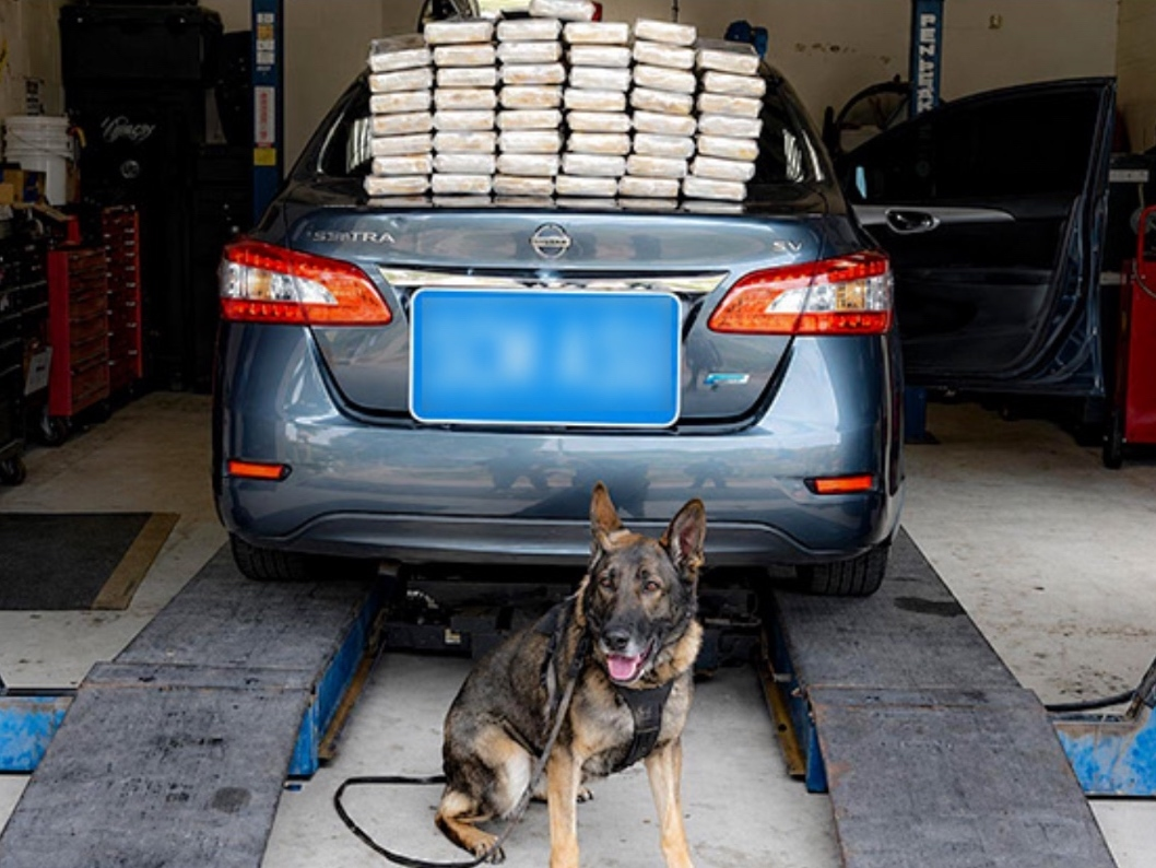 Authorities intercepted 122 pounds of cocaine on Interstate 5 near San Clemente, the U.S. Border Patrol announced.