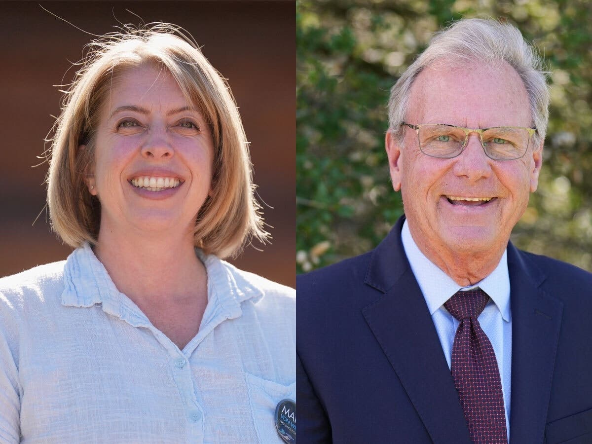 Desmond, Von Wilpert Advance To November Election In 48th Congressional District Race