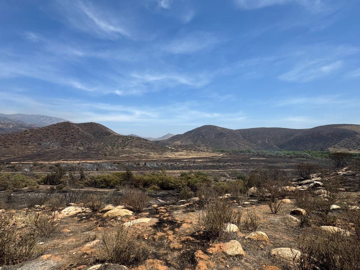 A wildfire along the U.S.-Mexico Border that burned over 2,500 acres in a remote, rugged area near Tecate Peak is 100% contained, Cal Fire announced.