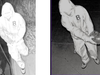 School surveillance cameras captured images of the suspect.