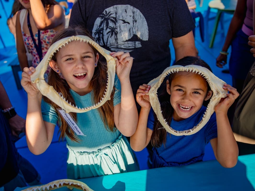Sharks are taking over Birch Aquarium as Shark Summer kicks off with a month of educational talks, live feedings and fin-tastic fun.