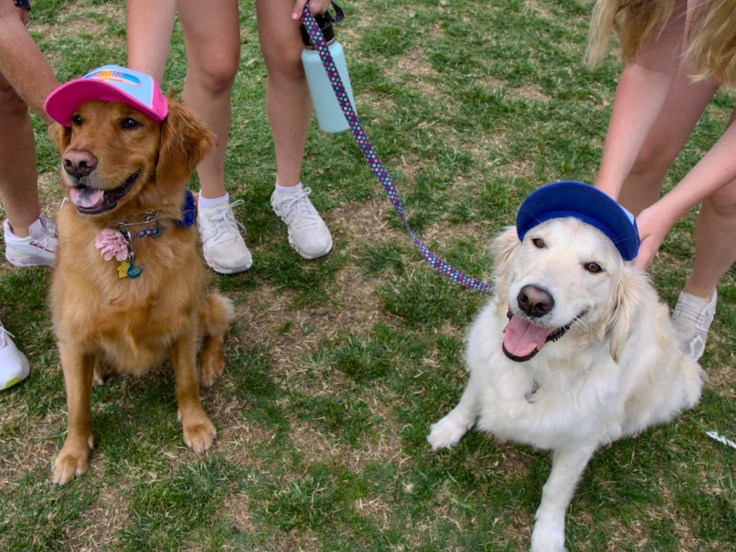 The 21st annual event will feature more than 100 vendors, dog contests, rescue groups and family-friendly activities.