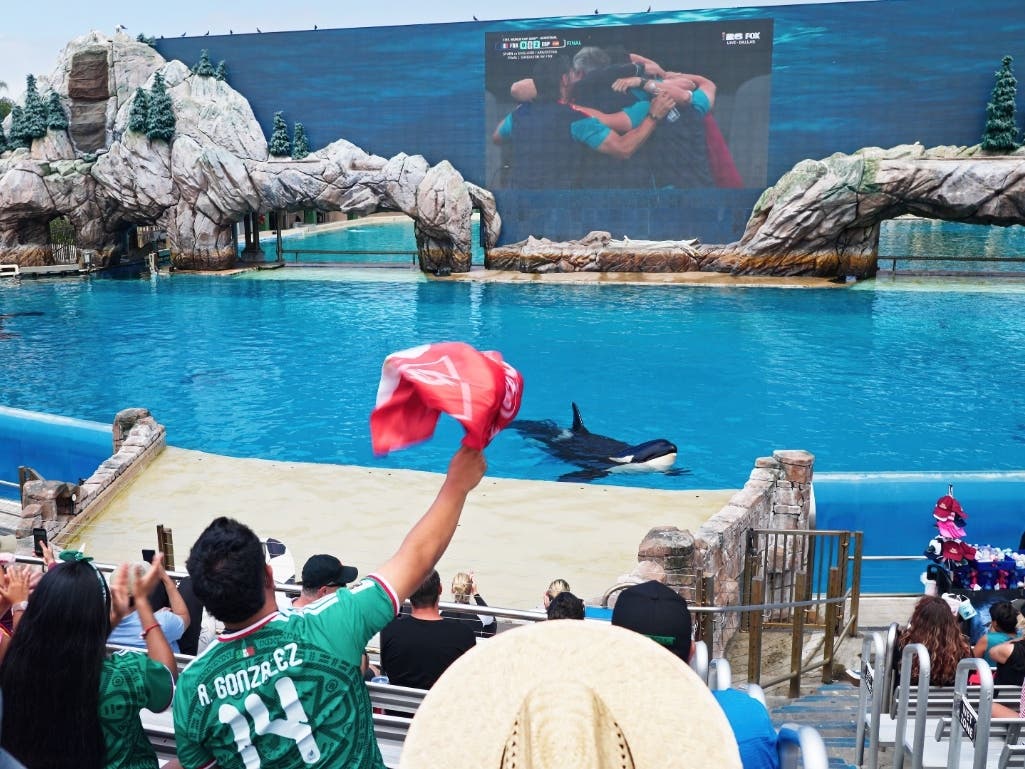 The park hosted its first watch party Tuesday.