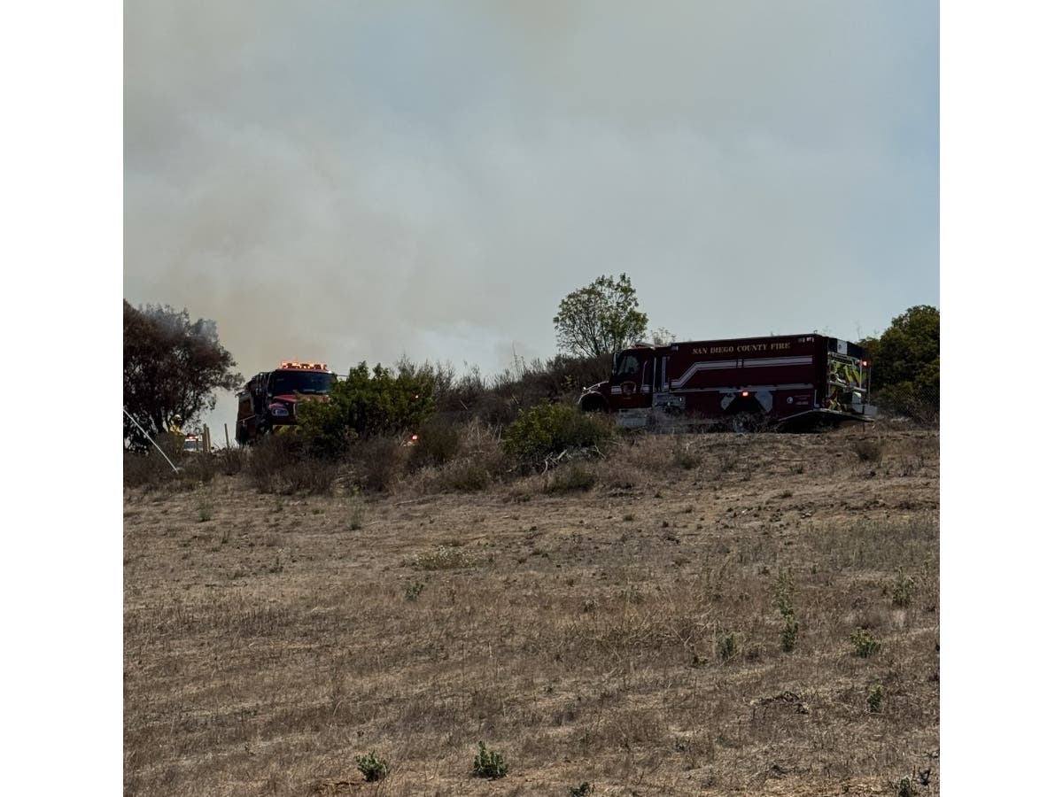 Crews from Cal Fire and North County Fire Protection District responded to the scene.