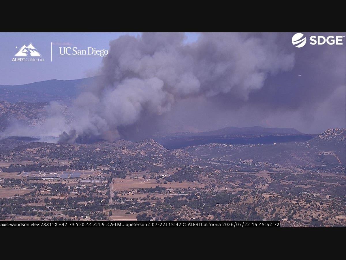 Smoke from the fire.
