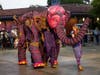 Nighttime Zoo has been a summer staple for more than 25 years.