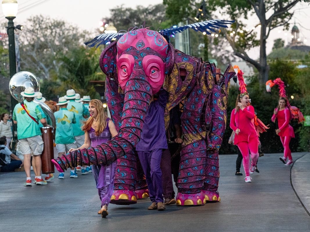 During Nighttime Zoo, the San Diego Zoo is open until 8 p.m. The event features live music, entertainment and wildlife.