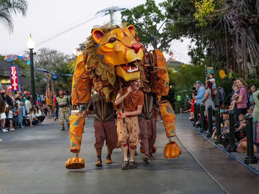 Nighttime Zoo has been a summer staple for more than 25 years.