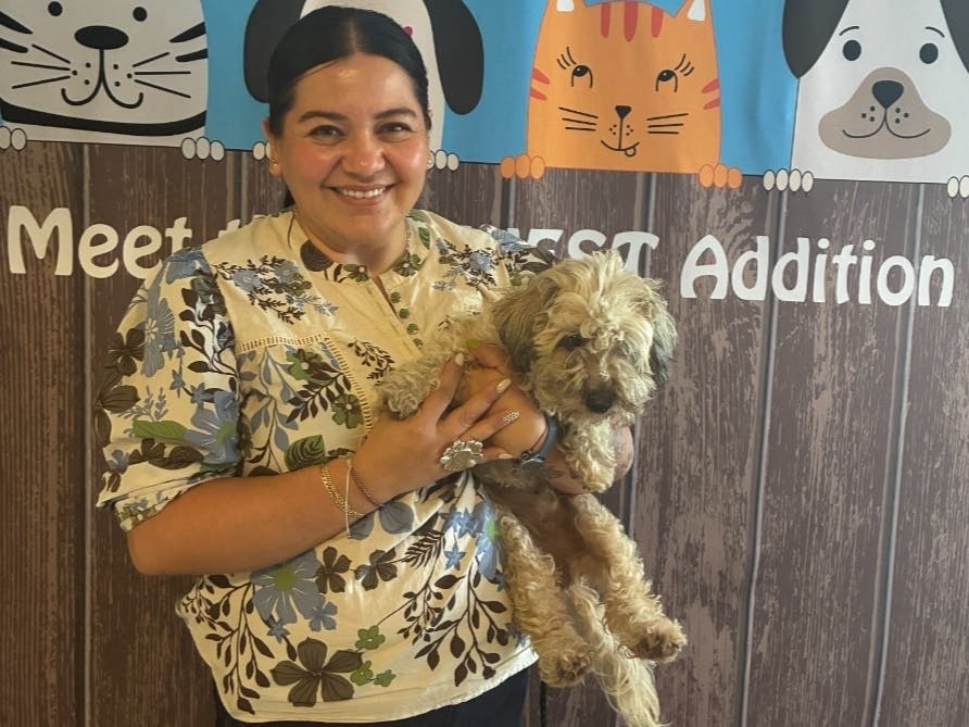 Staff said Teddy initially appeared withdrawn but became alert when she saw her owner, wagging her tail and howling.