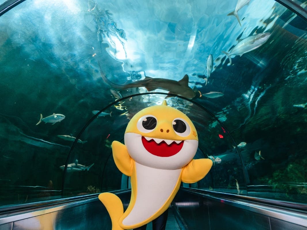 The new Baby Shark Halloween Show will debut at Mission Bay Theater.
