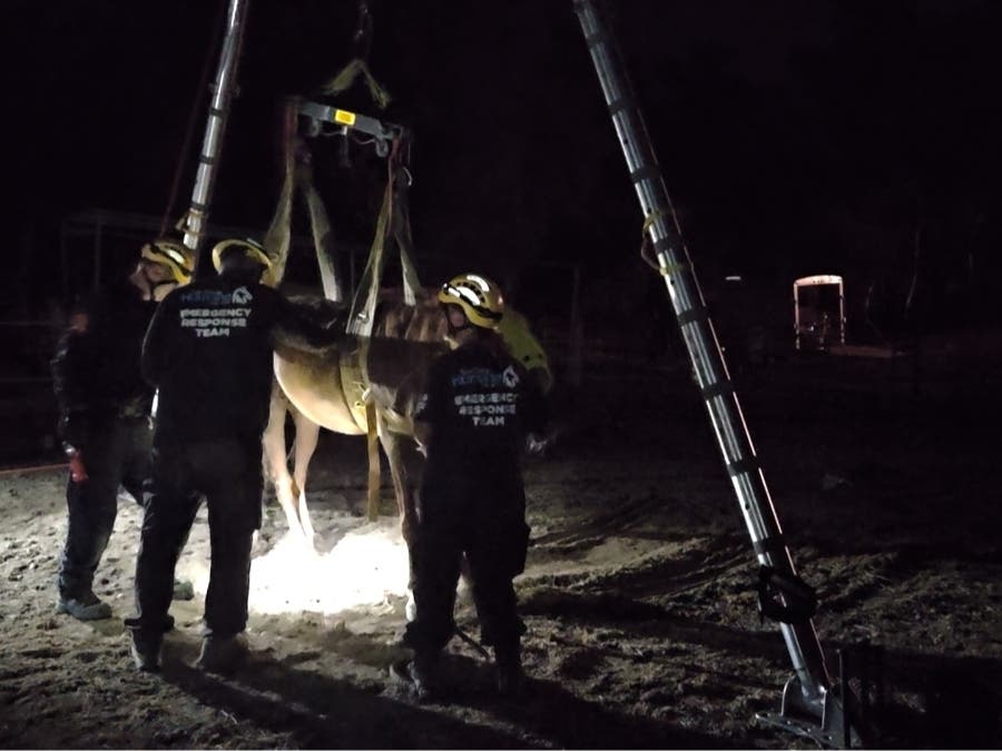 https://patch.com/img/cdn20/users/54855/20260814/113817/styles/patch_image/public/sdhs-ert-valley-center-horse-rescue-081326-13___14113008570.jpg