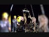 Humane Society volunteers worked alongside the horse's veterinarian to rescue her overnight.