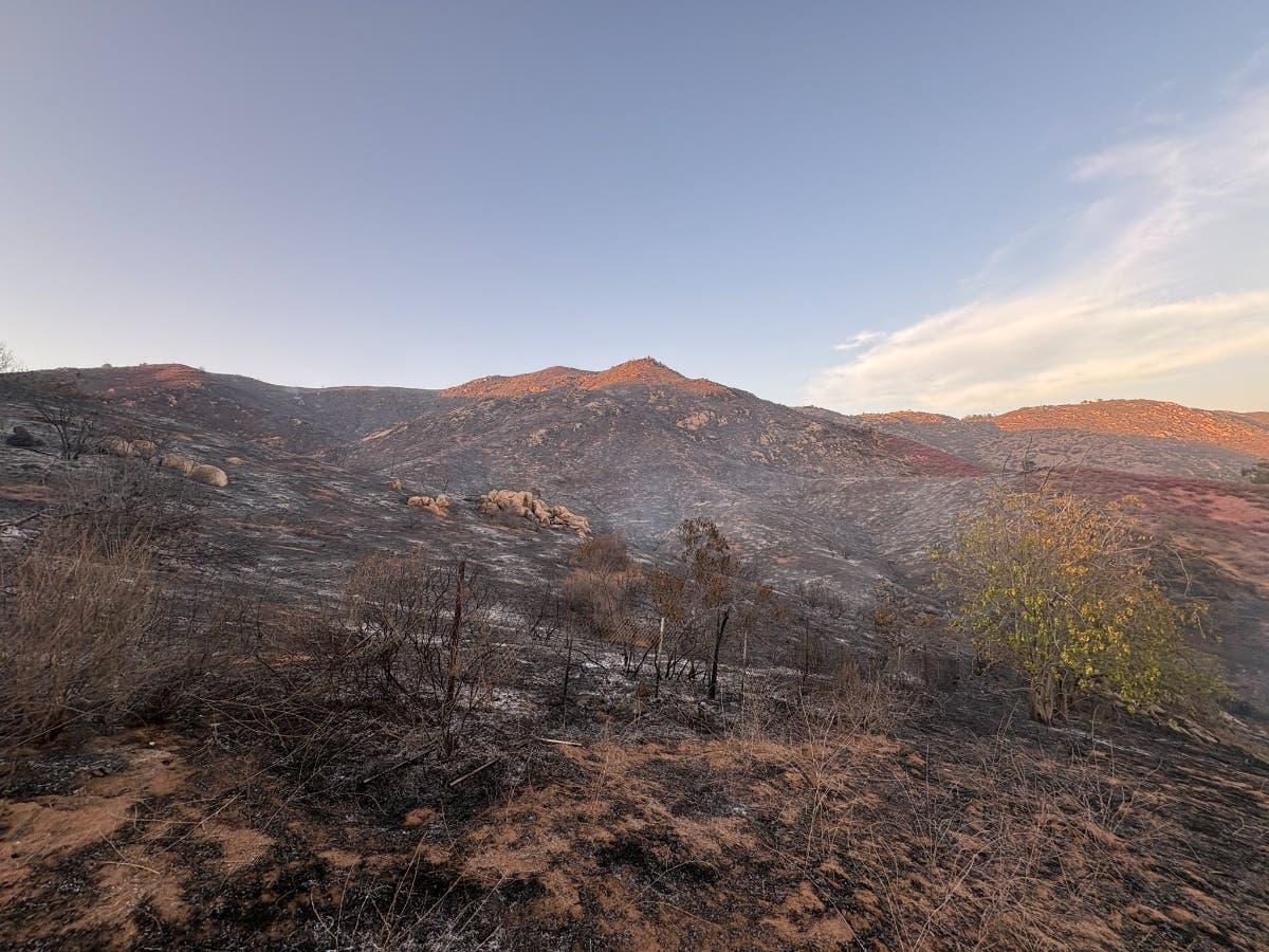 The fire was reported Wednesday afternoon near Dehesa and Red Gum roads in the Dehesa community.