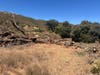 The effort allows teams across San Diego Zoo Wildlife Alliance to reuse the tree's natural materials and continue benefiting wildlife after its life as a tree has ended.