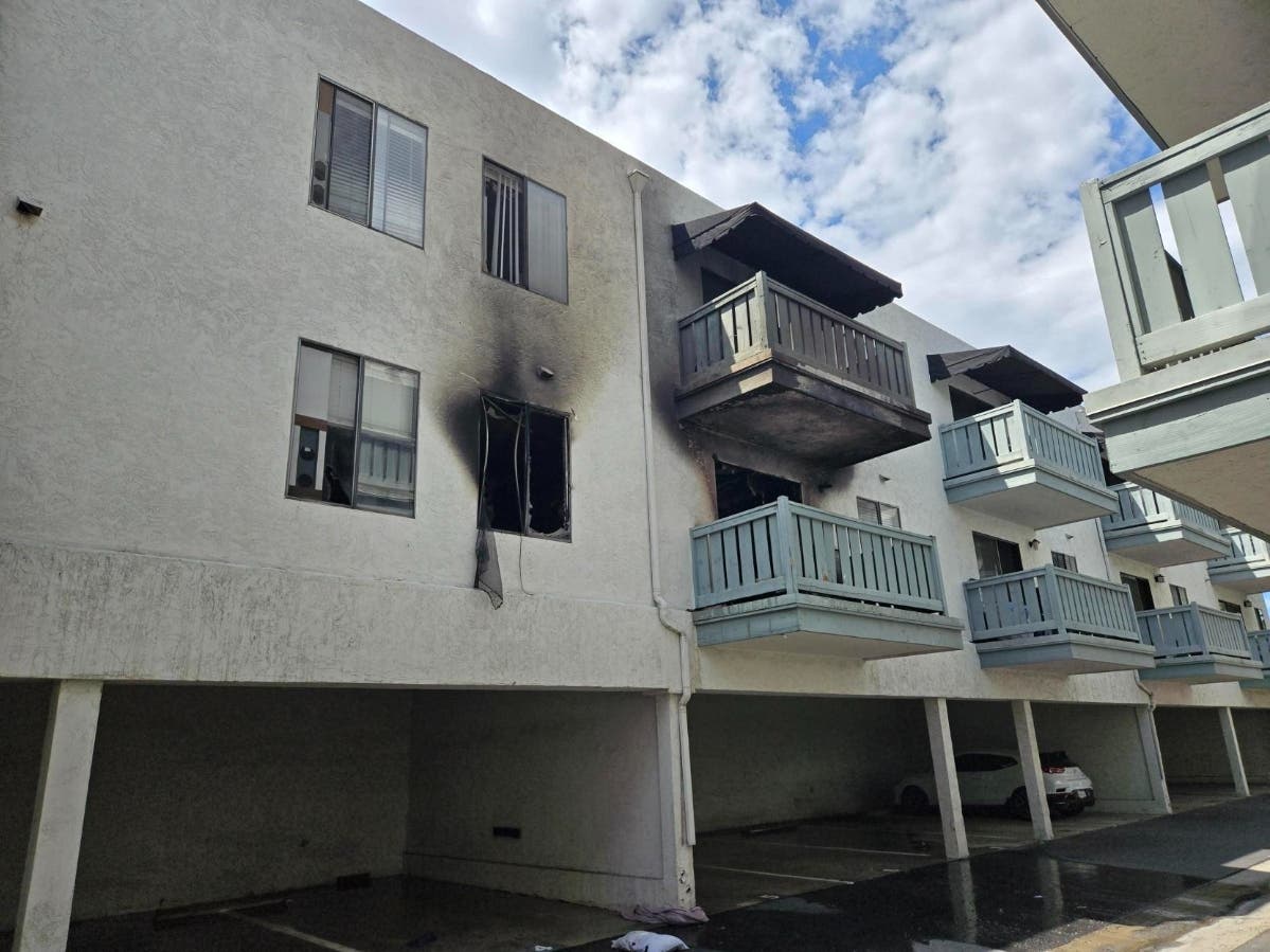 Three adult dogs and eight puppies about 4 weeks old were rescued from one of the affected apartments.