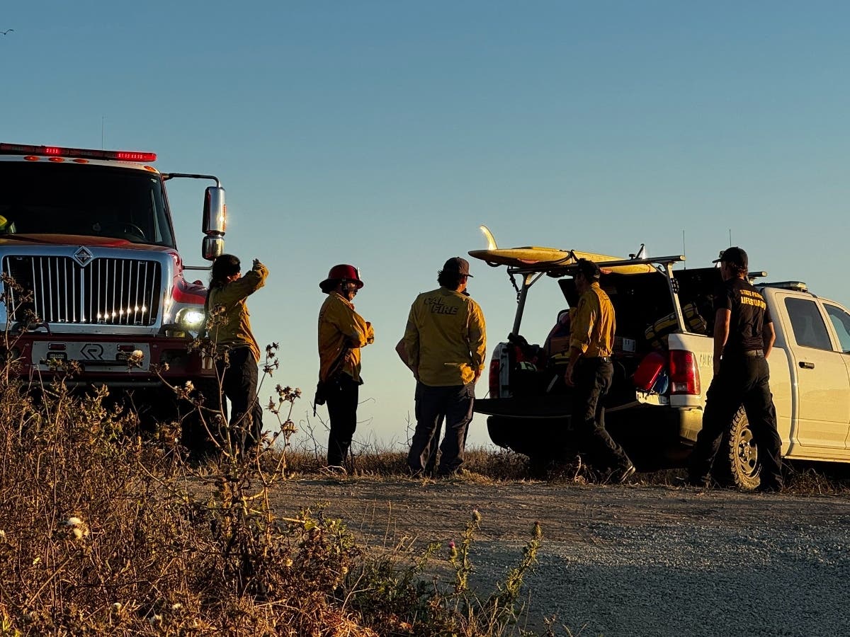 Firefighters helped rescue a person who fell several dozen feet off a cliff.