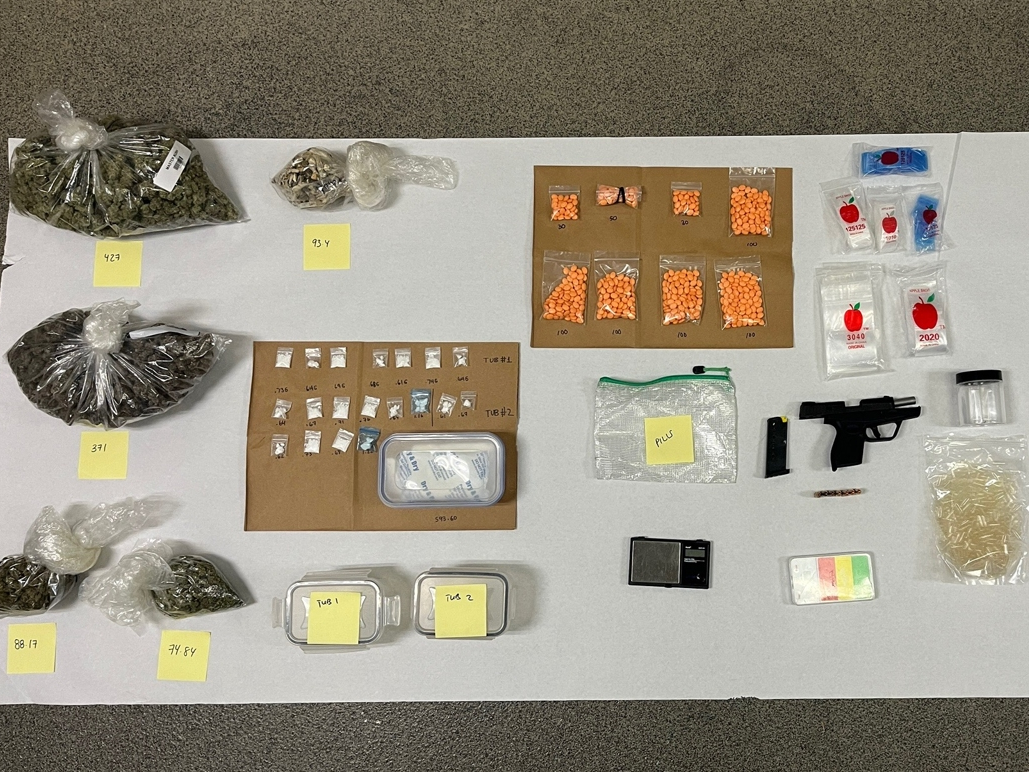 A Lemon Grove business owner was arrested after authorities said they found a handgun and large quantities of drugs while serving a search warrant.