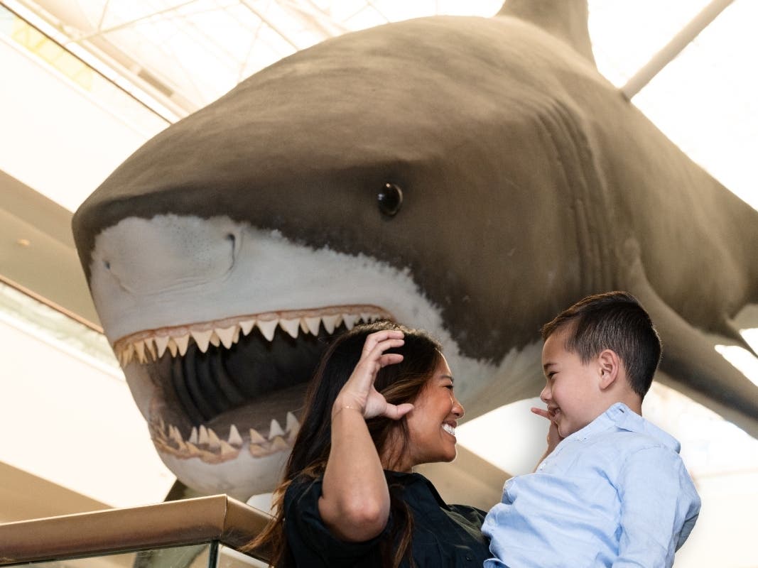 San Diego Natural History Museum is participating in Kids Free in October. 