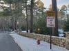 This section of Elm Street, less than a mile from Wheelock, cannot accommodate full-size school buses due to the posted weight limit. A significant increase in students could require much bus re-routing around the area, or alternate transportation modes.