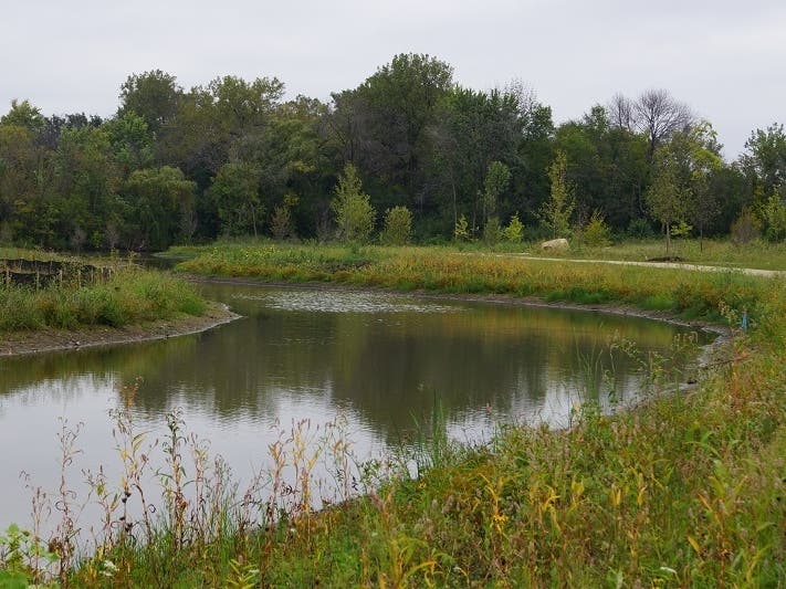 Natural area at Sportsman's Park