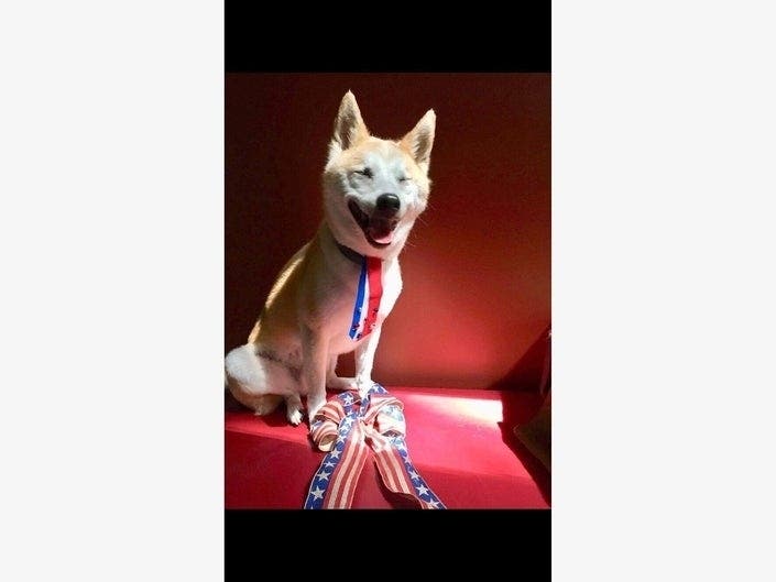 Send your patriotic pet pics our way! 