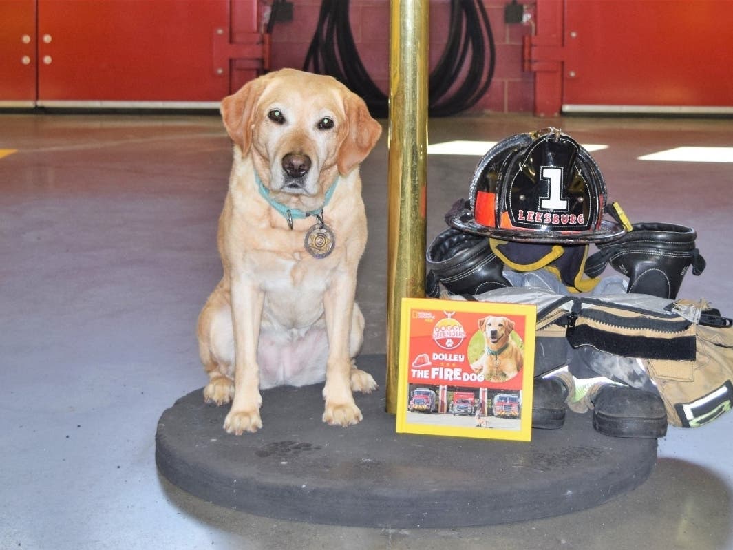 Dolley is featured in her own National Geographic book called, "Dolley the Fire Dog."