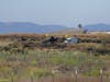 ​Six people were killed early Saturday when the small plane they were traveling in crashed near French Valley Airport in Murrieta.