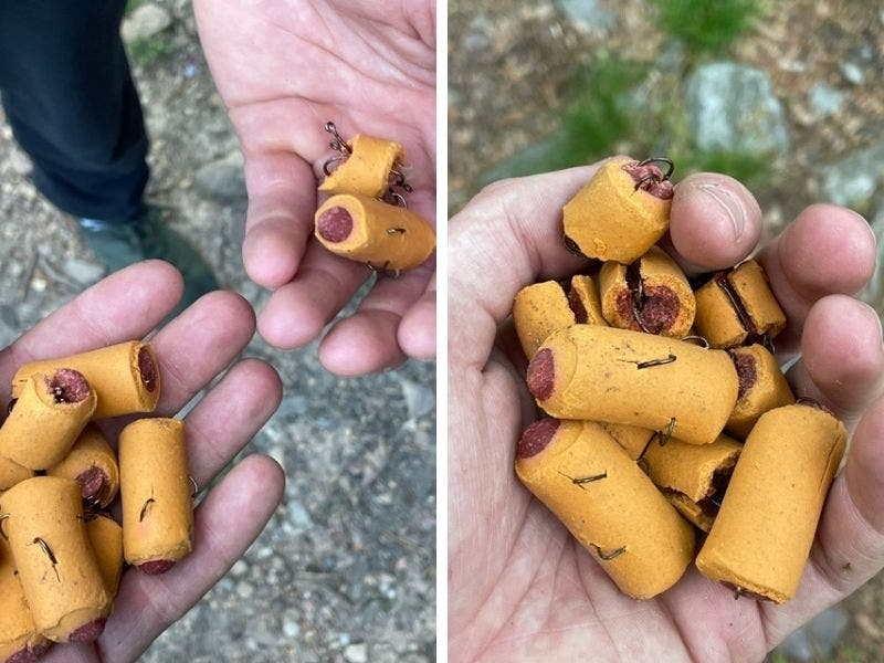 Officials issued a warning this week after dog treats embedded with fish hooks were found near a Lehigh County nature center. 