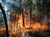 A wildfire in Wharton State Forest in Burlington County grew to 4,000 acres on Saturday.