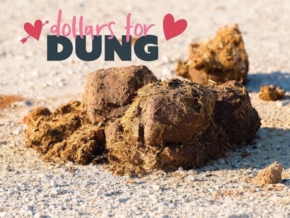 Have an ex who really stinks? Make it official by naming a pile of poop after them this Valentine's Day, courtesy of the Maryland Zoo.