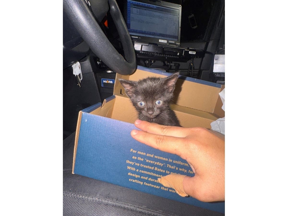 A kitten is now in good hands after it was rescued by state troopers from a busy Northern Virginia highway.