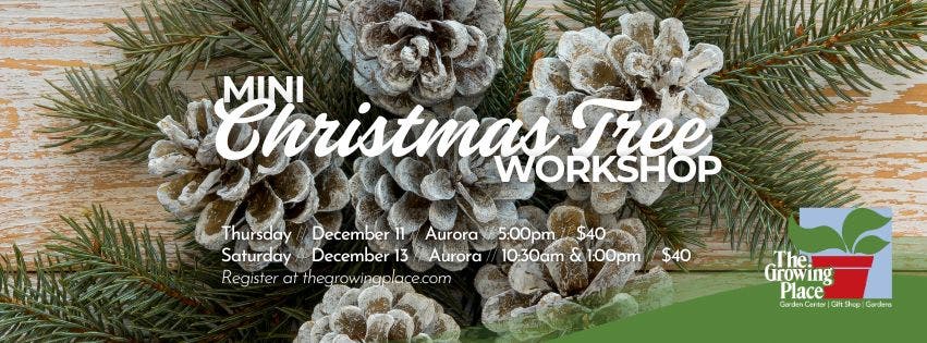 Mini Christmas Tree Workshop 12/13/25