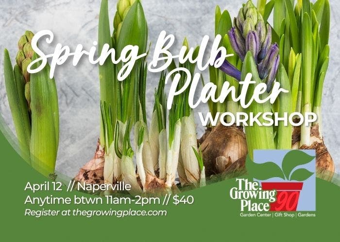 Spring Bulb Planter Workshop
