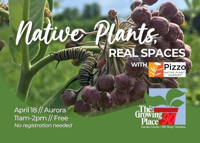 Native Plants, Real Spaces